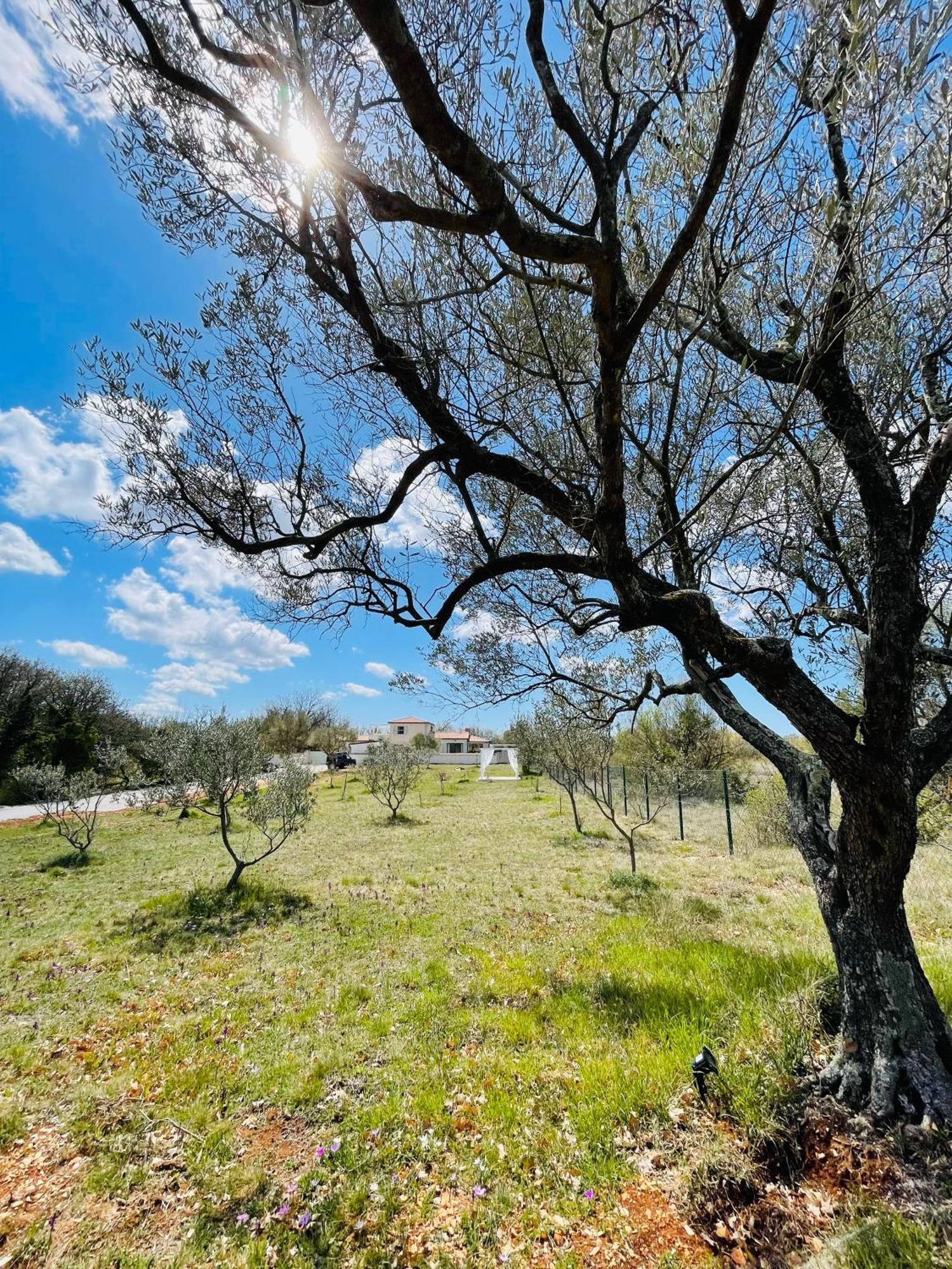 Luxury Villa In Istria - 9,000 Sqm Private Estate With Pool & Sauna, 15 Min To Sea, Near Fazana, 3 Bedrooms Juršići Kültér fotó