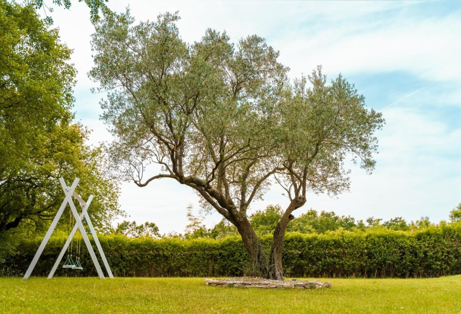 Luxury Villa In Istria - 9,000 Sqm Private Estate With Pool & Sauna, 15 Min To Sea, Near Fazana, 3 Bedrooms Juršići Kültér fotó